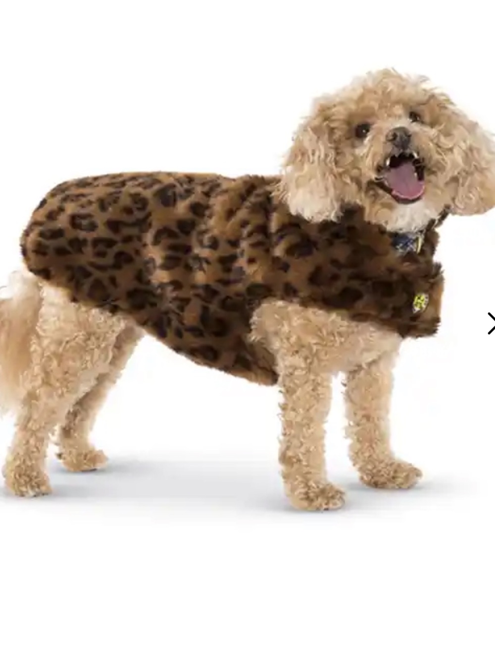 Max Studio Dog fur leopard coat
